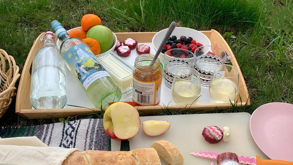 10 Top Items for A Fun Family Picnic