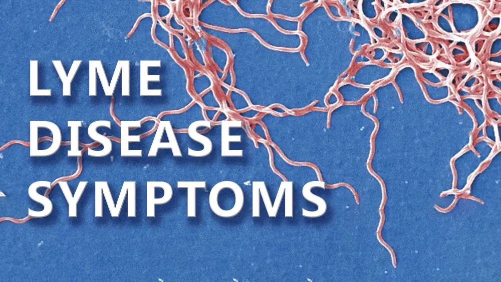 Lyme Disease Symptoms