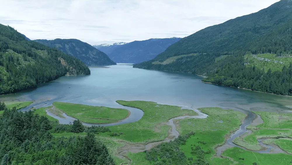 Enteresting Facts About Estuary Biomes Most People Don't Know