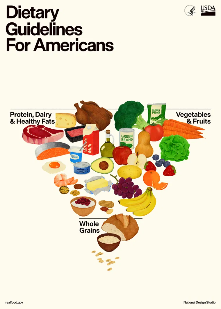 Understanding the New Food Pyramid: What Changed and How to Use It