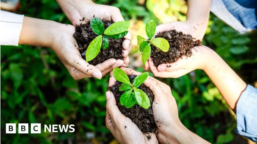 What is Earth Day? History, Facts and How to Celebrate