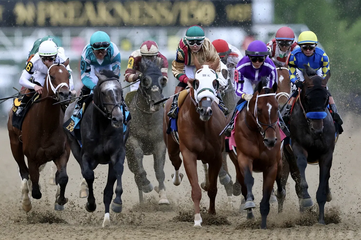What Is the Preakness Stakes? History, Traditions & 2026 Race Explained