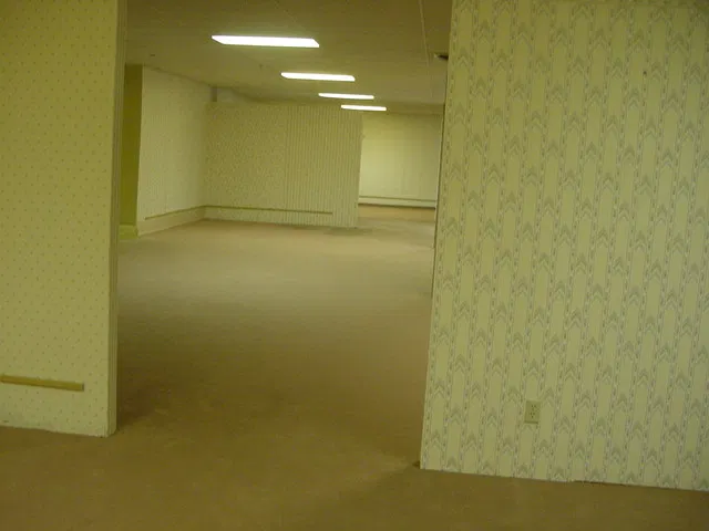 What Are the Backrooms? The Internet Horror Phenomenon Explained