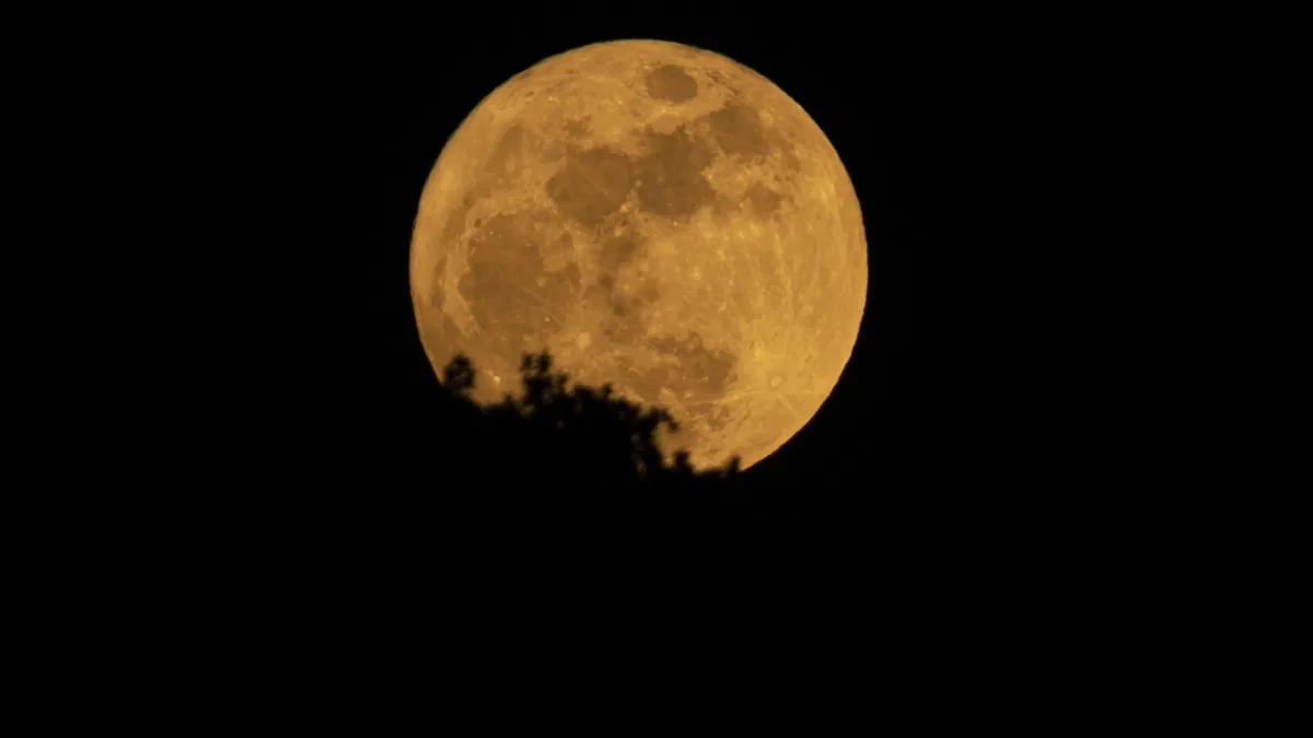 What Is a Blue Moon? And When Is the Next One?