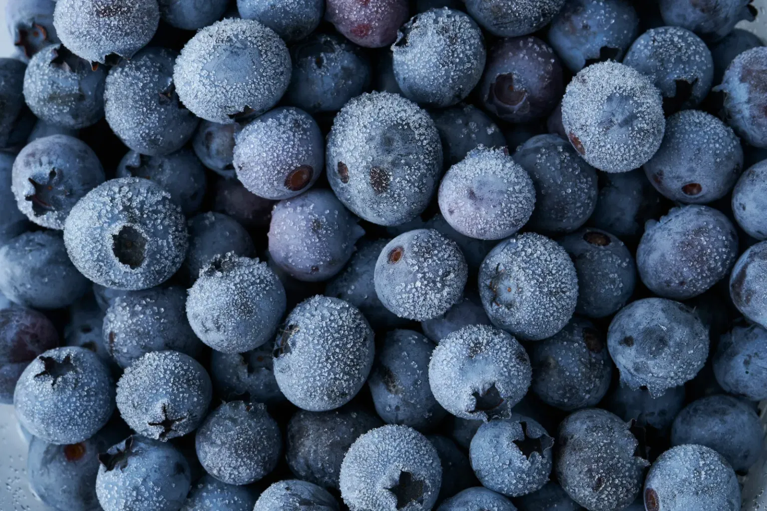 Blueberry Recall: What Publix Shoppers Need to Know