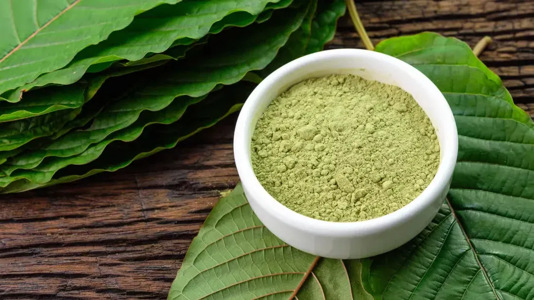 What Is Kratom? Effects, Risks, and How It Works