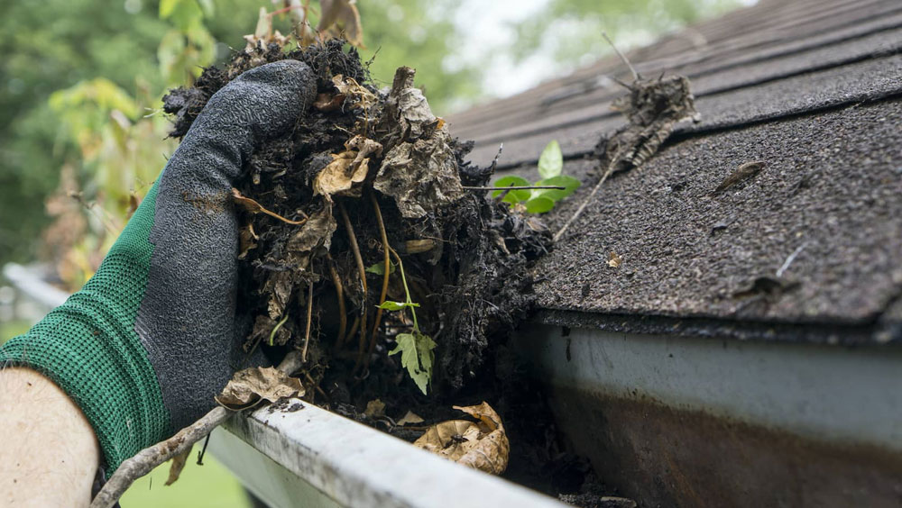 What Is The Cost of Gutter Cleaning?