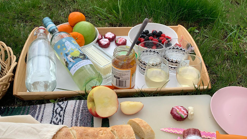 10 Top Items for A Fun Family Picnic