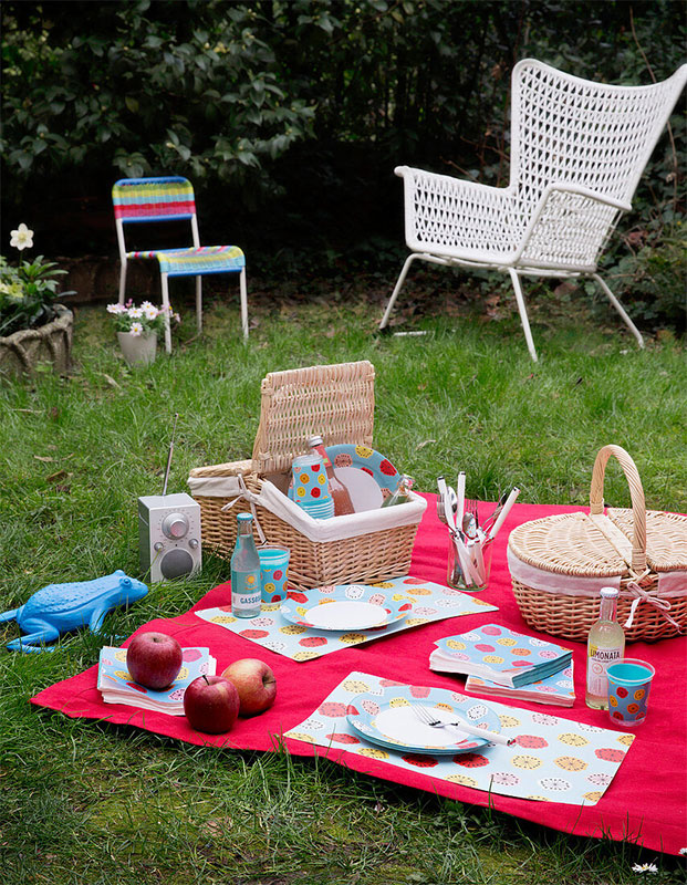 Disposable Cups And Plates or Alternatives