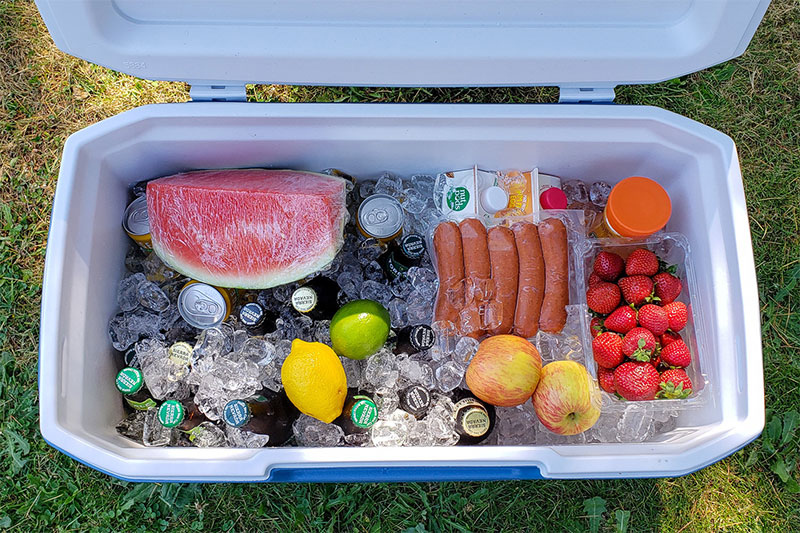 Insulated Cooler
