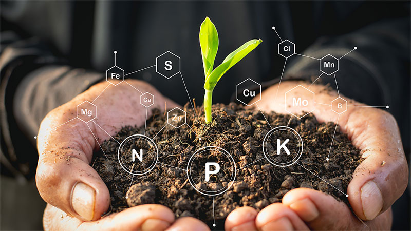 Soil Quality is Important