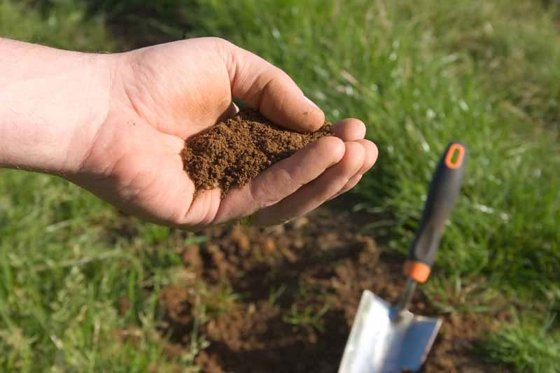 Test Your Soil