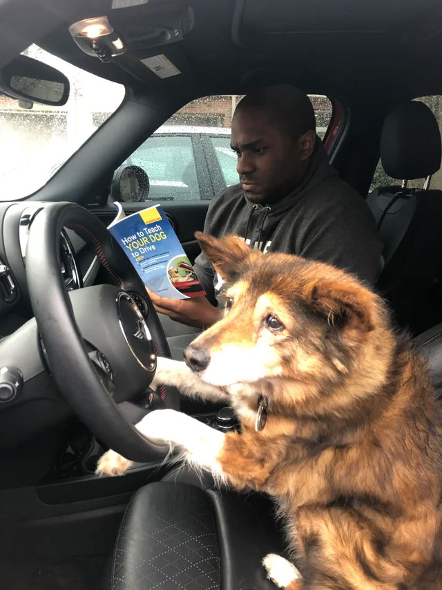 Drive Smart
