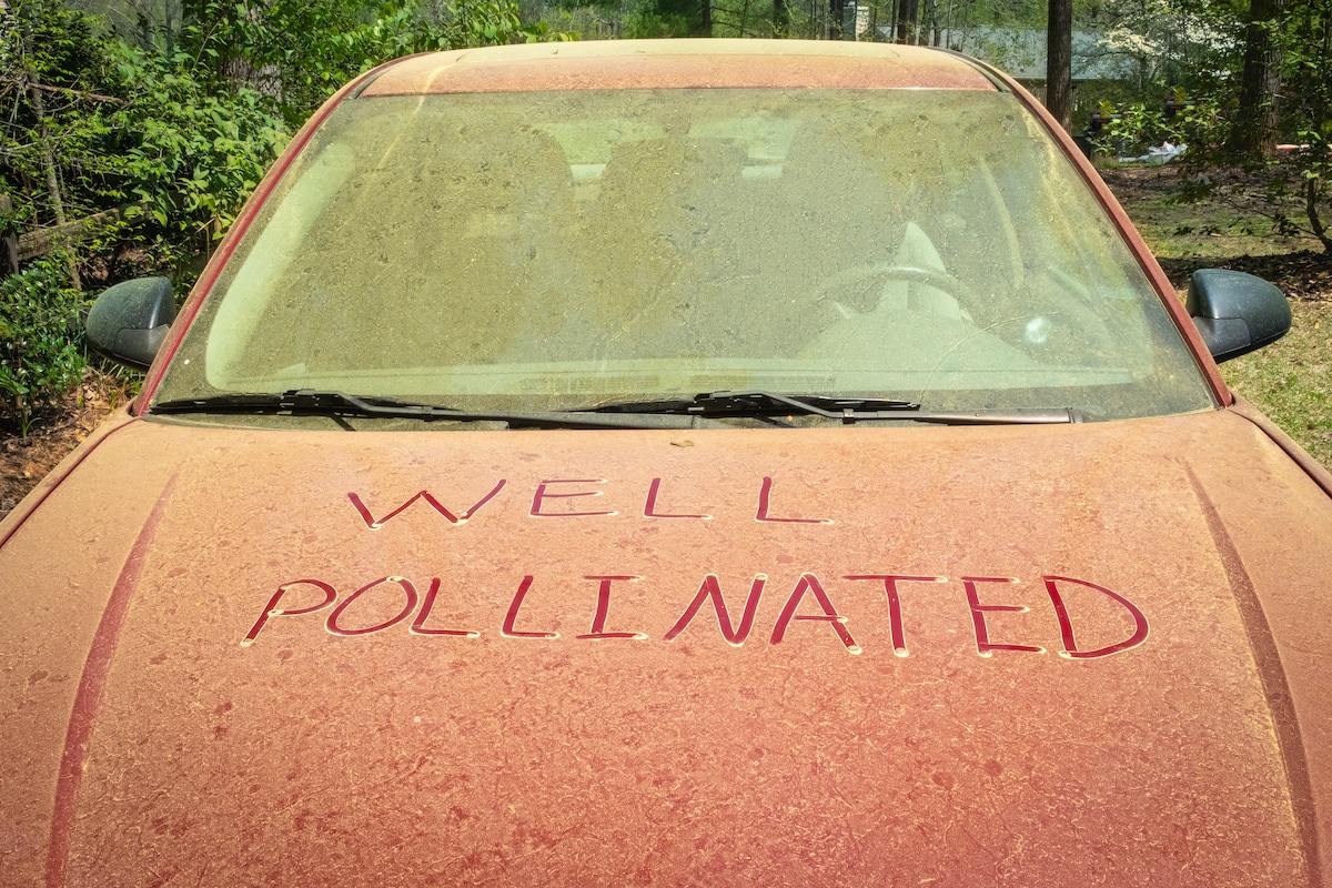 Keep Pollen Out