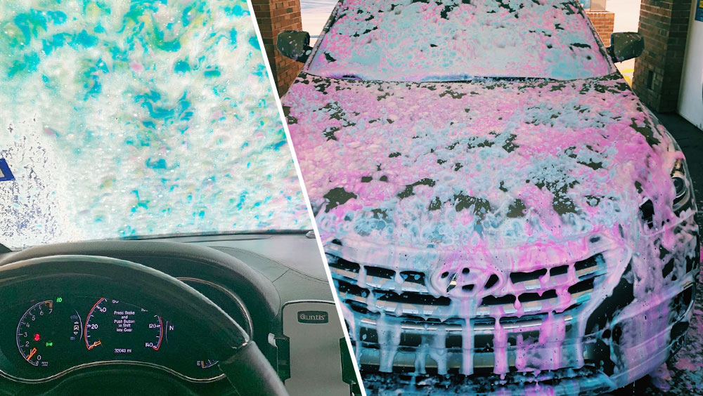 Sticky Situation: How to Get Sap off Your Car Without Damaging the Paint