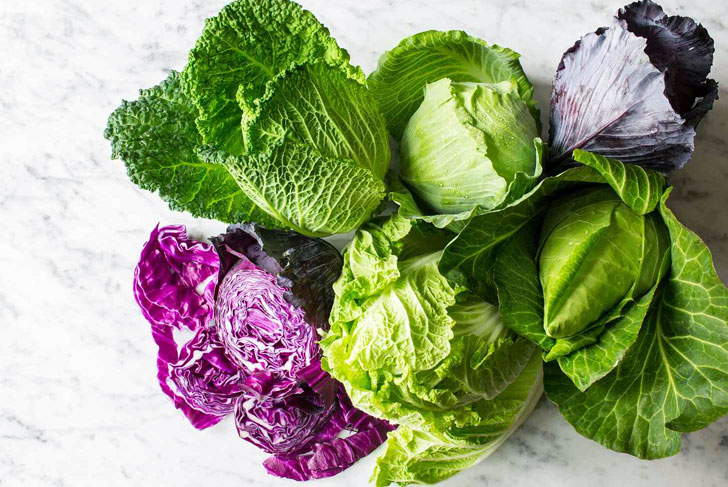 Cabbage