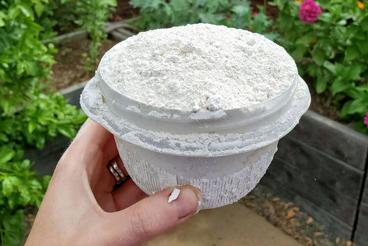 Diatomaceous Earth
