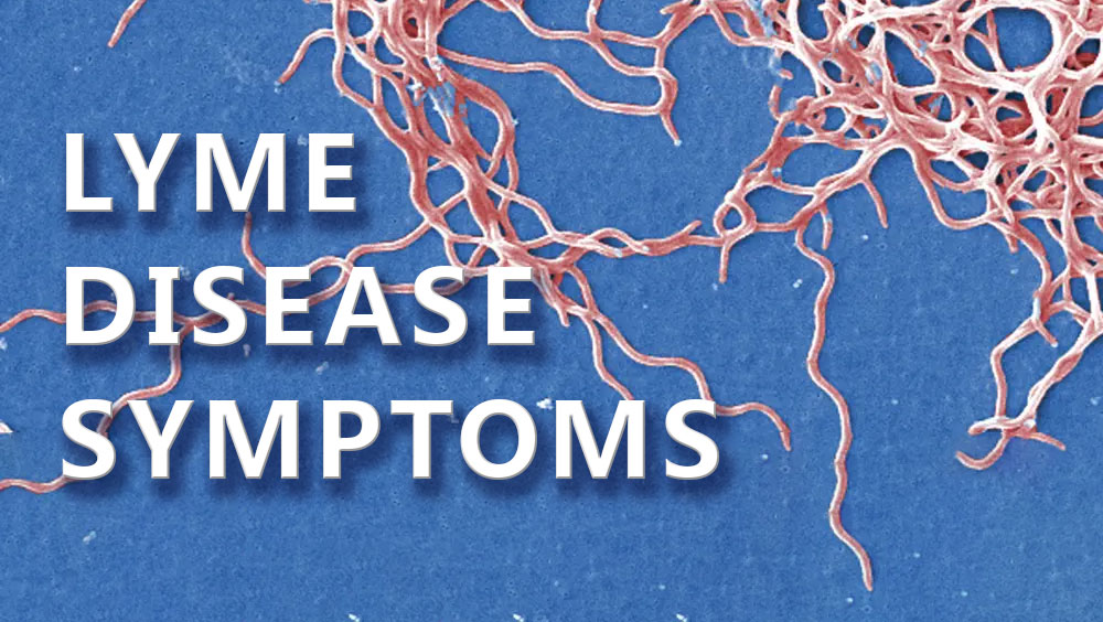 Lyme Disease Symptoms