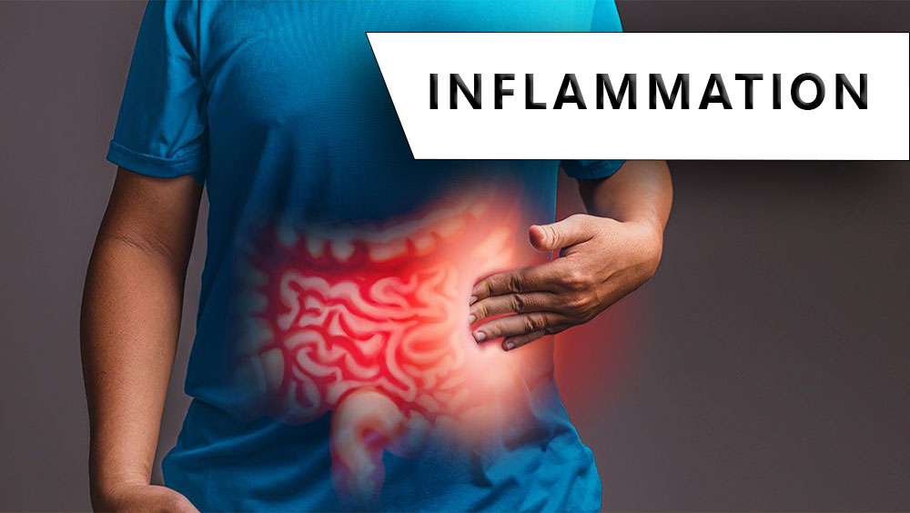 These Foods Fight Inflammation Best