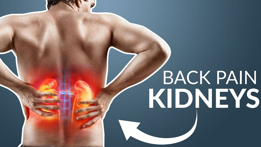The Best Ways To Lower Your Creatinine Levels