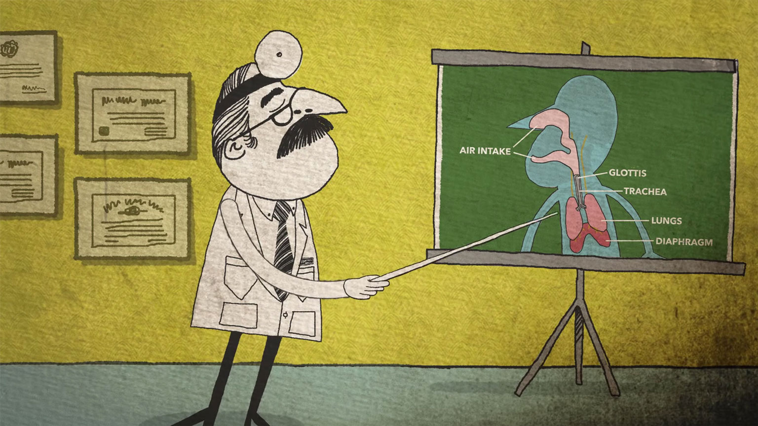 causes