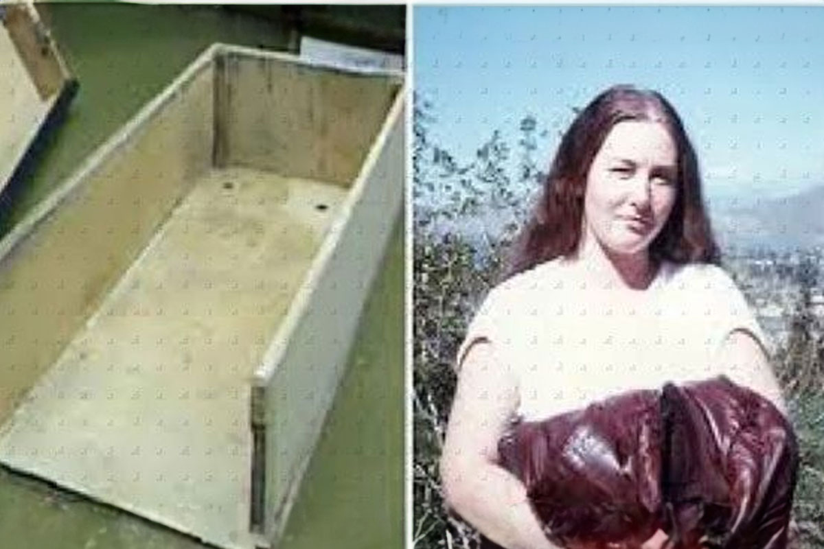 Trapped In A Coffin-Sized Box For Seven Years: Colleen Stan's Harrowing Escape And Testimony