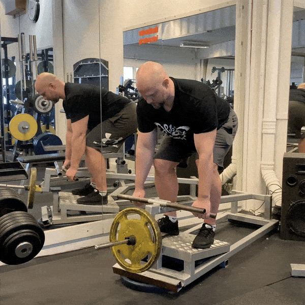 t bar row machine