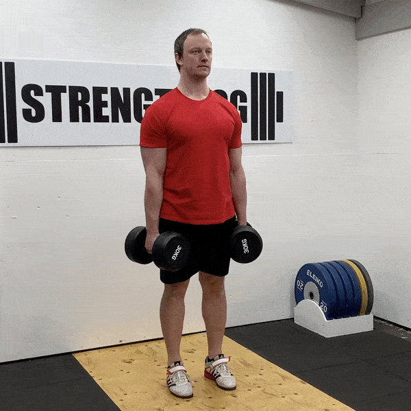 Dumbbell Shrug