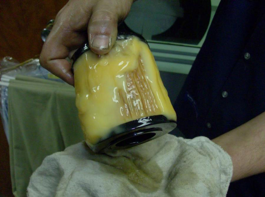 at what temperature does diesel fuel turn into gel _76743f40 f01e 4a25 8f53 7dda3e3c6f2c