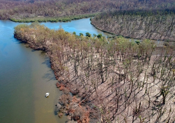 enteresting facts about estuary biomes most people don t know_0071a7bc 8f1b 40e0 93b3 1273619dd806