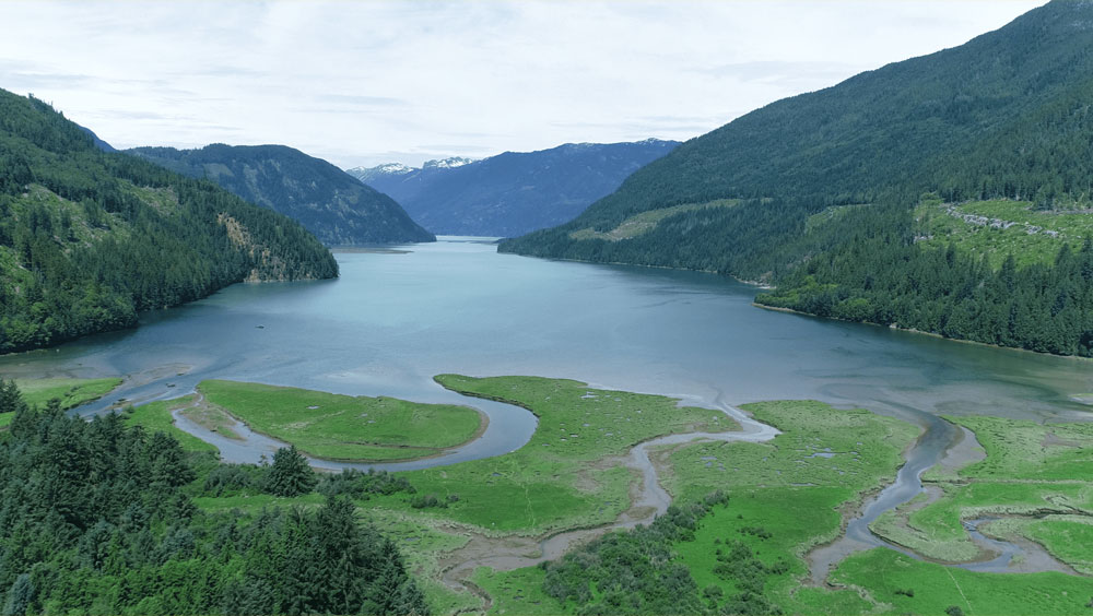 Enteresting Facts About Estuary Biomes Most People Don't Know