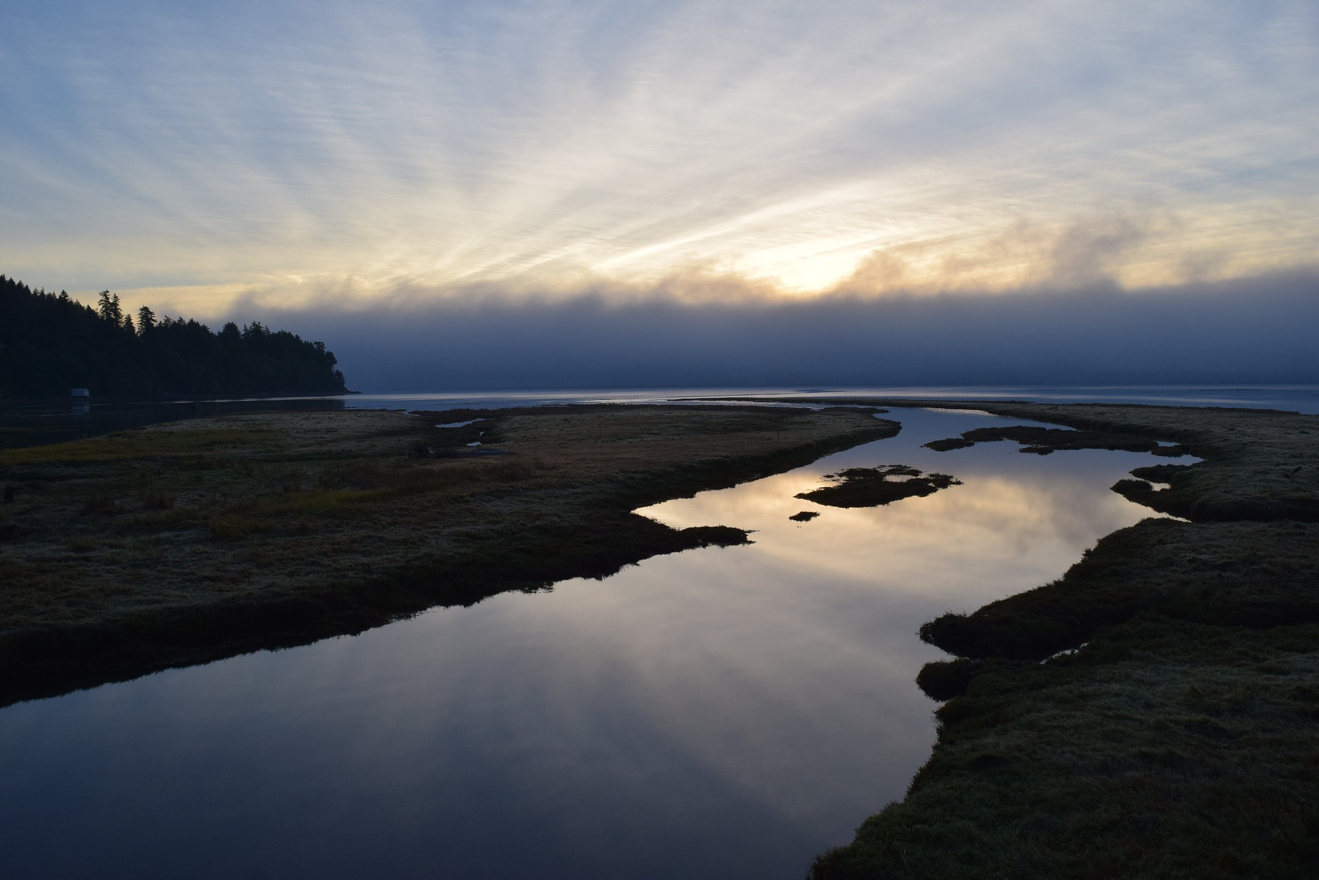 enteresting facts about estuary biomes most people don t know_1b535661 4958 425e 94ce e73af373c2fe