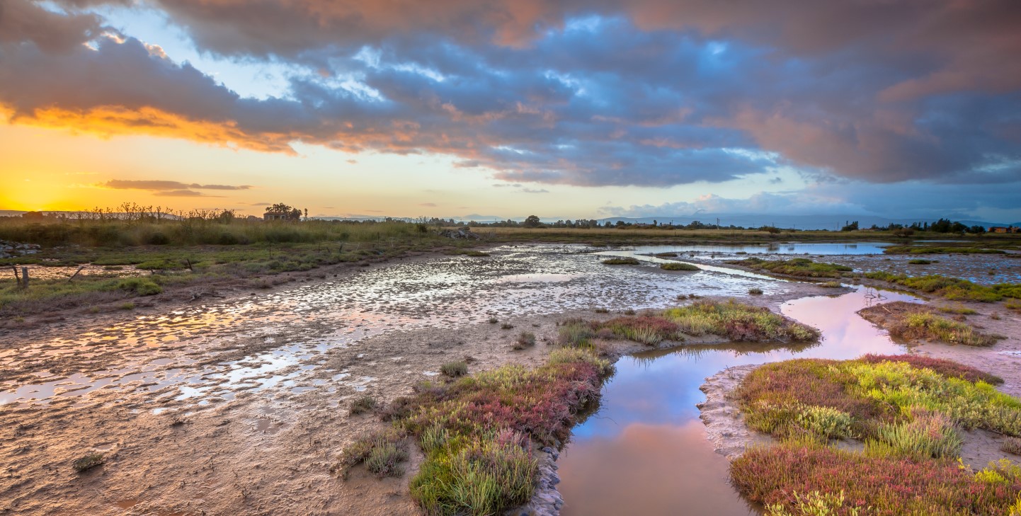 enteresting facts about estuary biomes most people don t know_bdd63a2a 010f 472f 8534 9e24fe7cf5fa