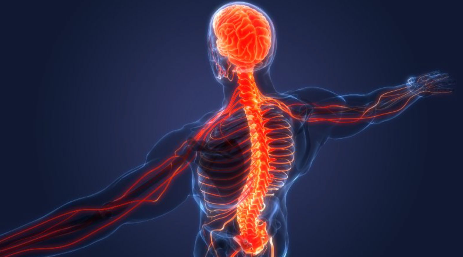 when you should go see a neurologist_e303ffe7 8756 4c34 91fb e26eb3050055