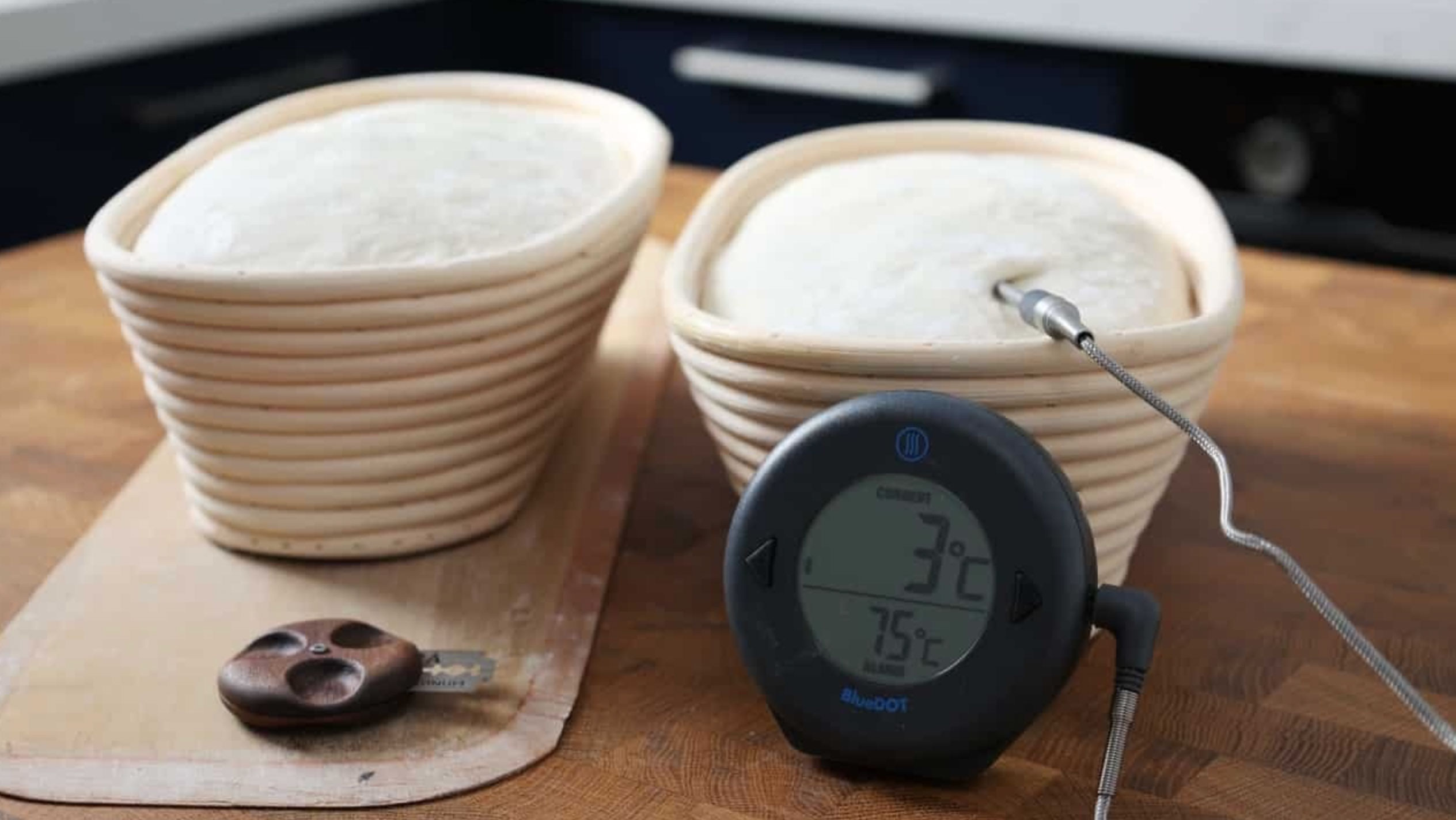 top tips for creating the best homemade sourdough starter_1c596841 613a 40fb b8ad 86aea30e3c33