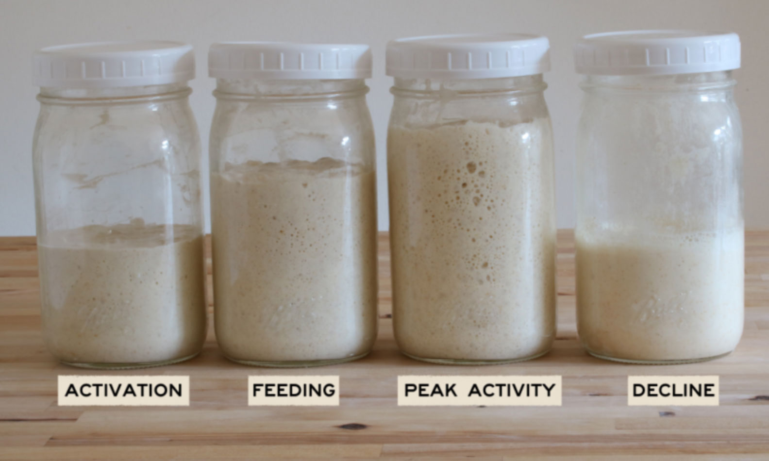 top tips for creating the best homemade sourdough starter_1c8868e0 ec68 4861 8b5c fa984f077b88