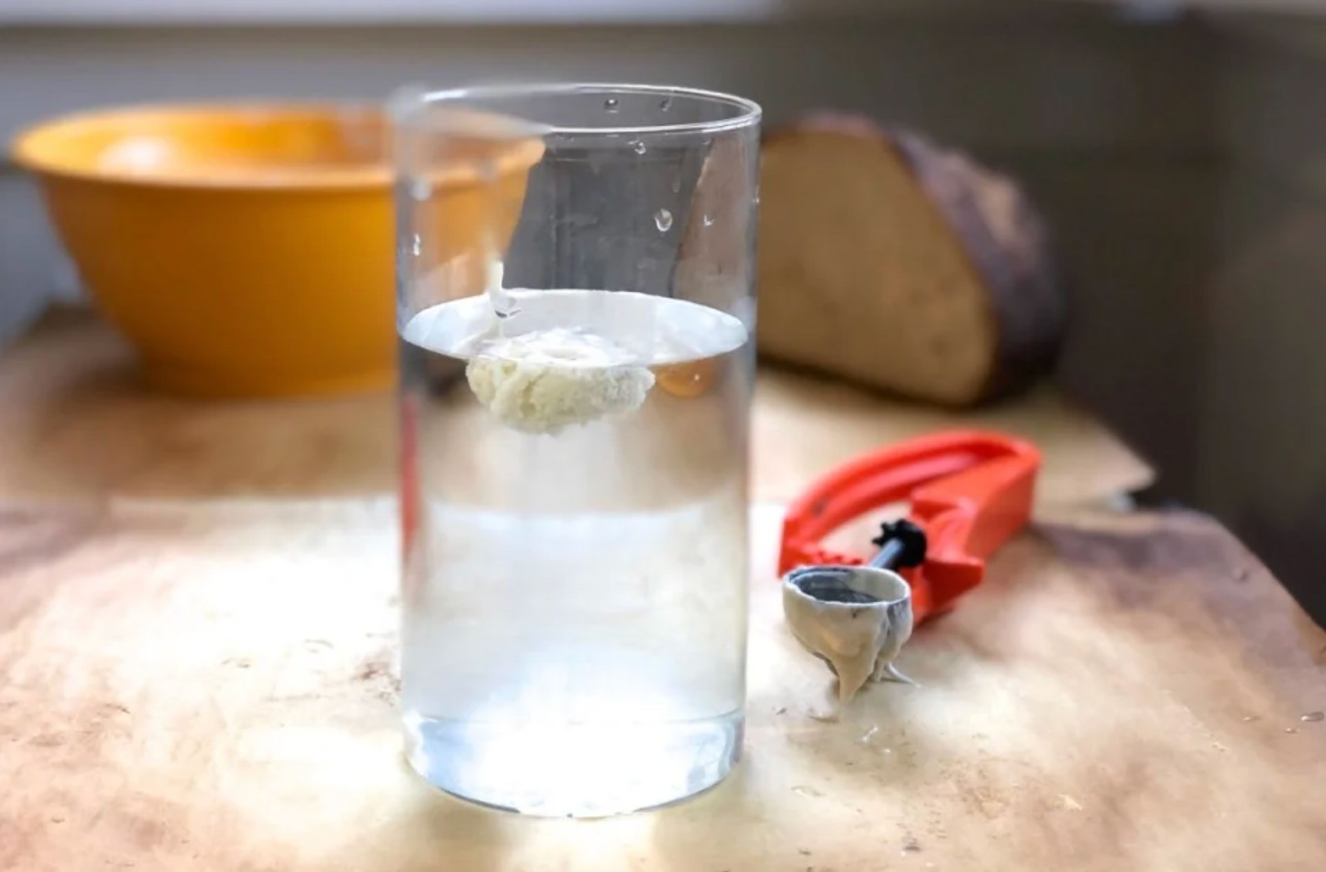 top tips for creating the best homemade sourdough starter_2ef263c4 d19e 4d3f 8a80 4edb57dd7c96