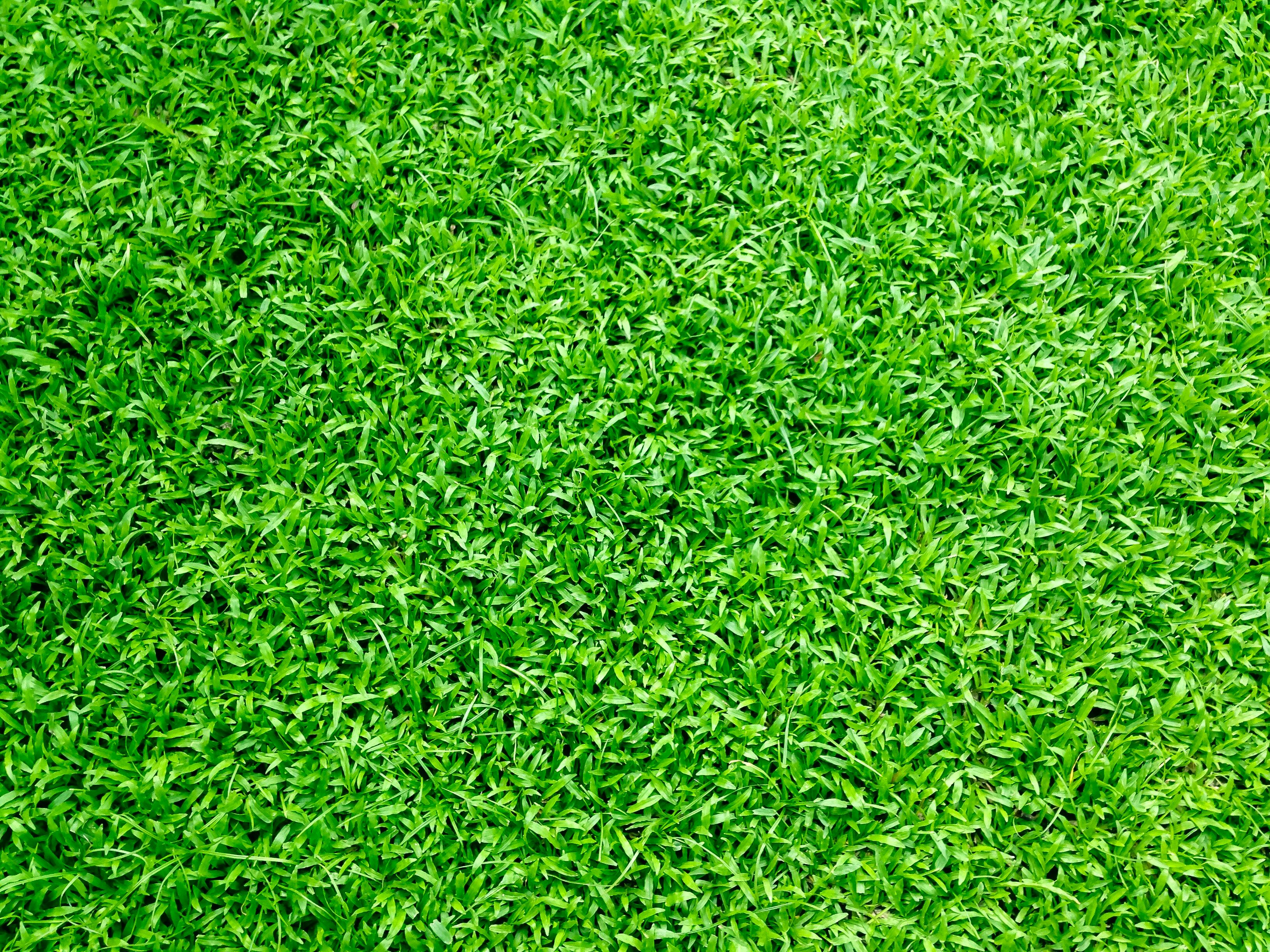 How To Find Good Deals on Lawn Care