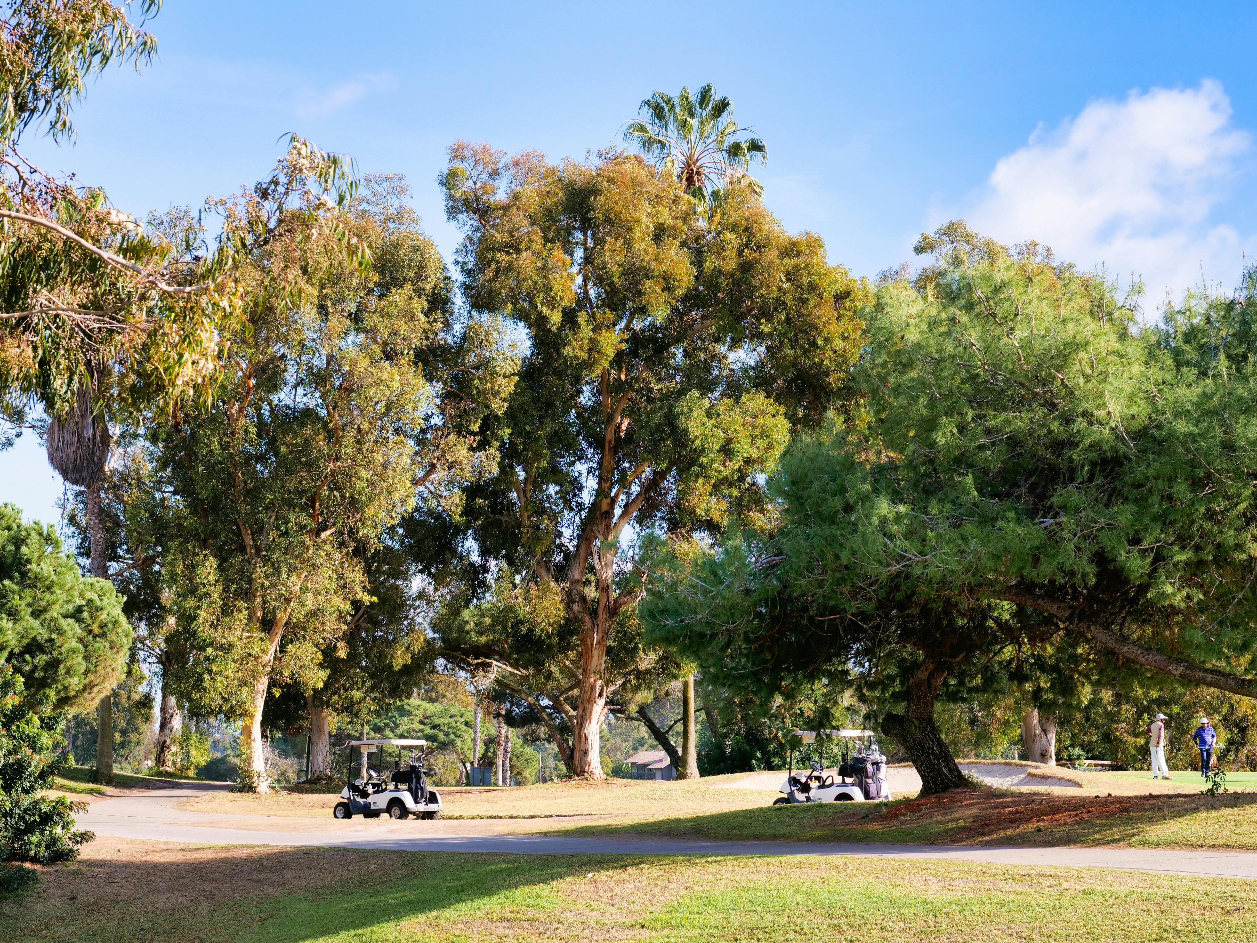 Why Rent To Own Golf Carts Is Reshaping Local Transportation