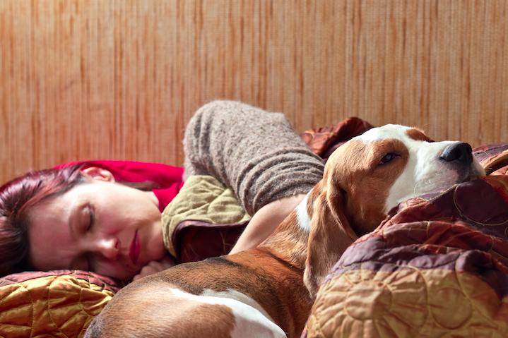 can dogs sense when you are sick_9f3133bb dca8 4dc9 8c09 d951ab18c761