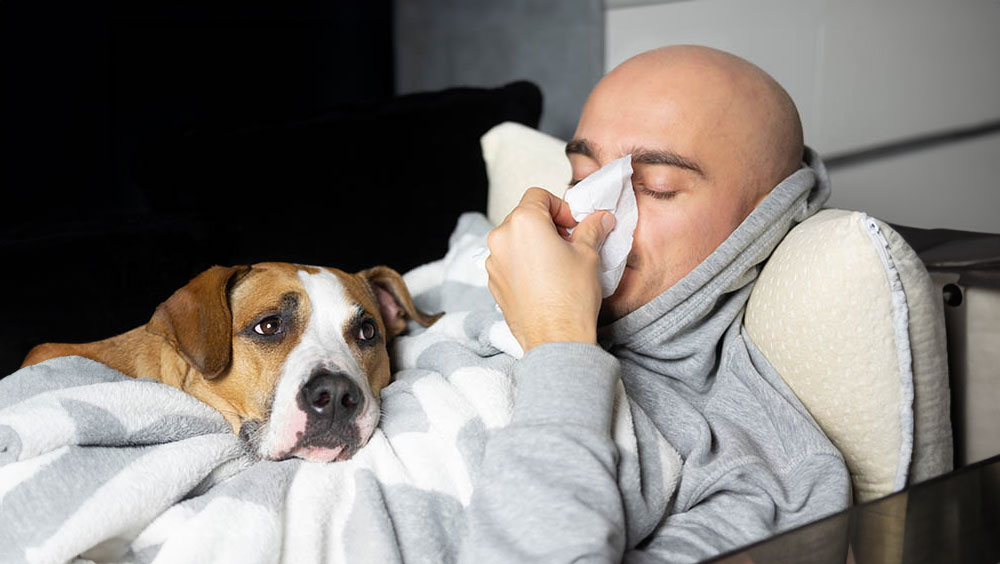 Do Dogs Know When You Are Sick