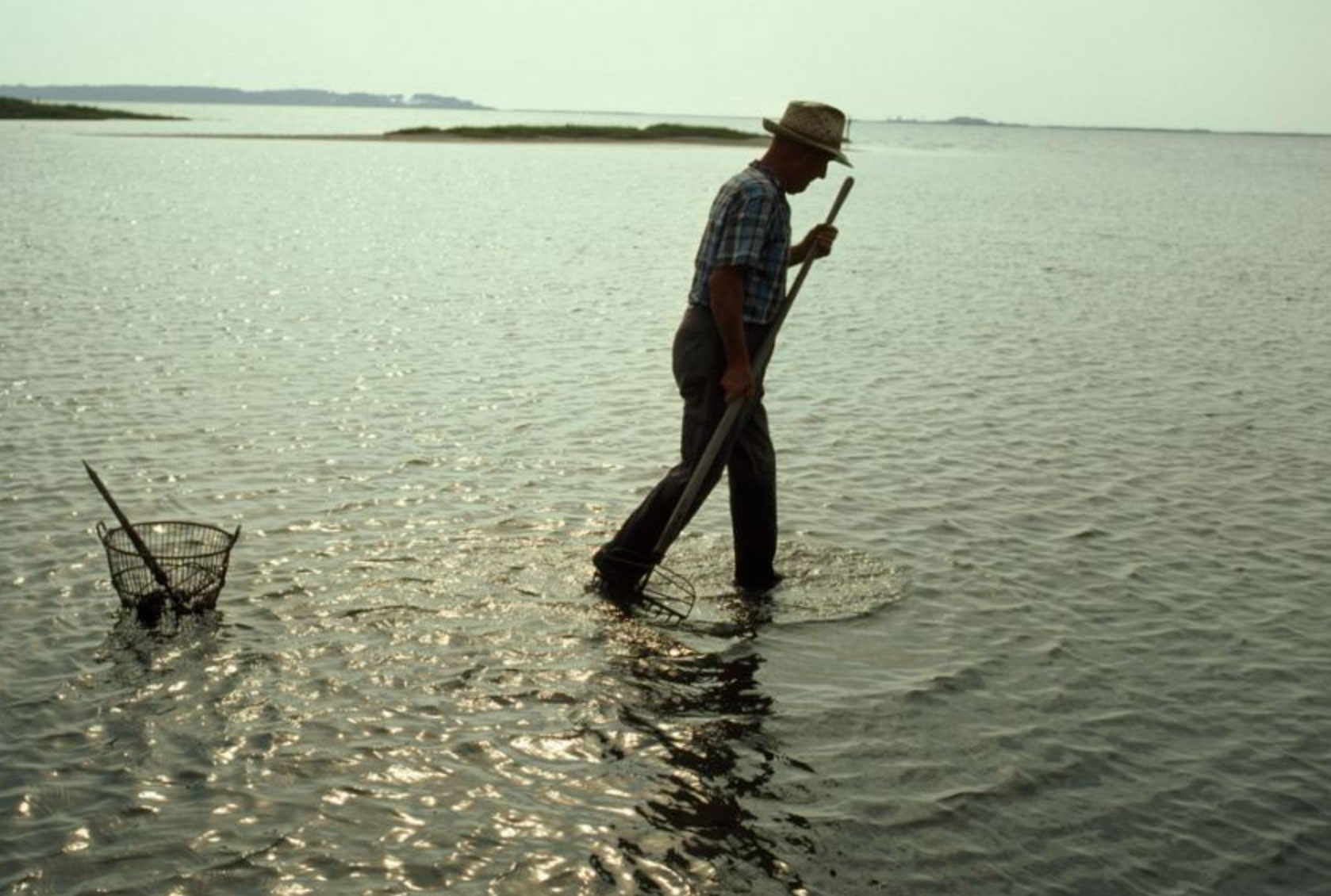 what is a neap tide and why it matters_8dcb0c32 1aa7 41d9 9141 5ed964f2aa16