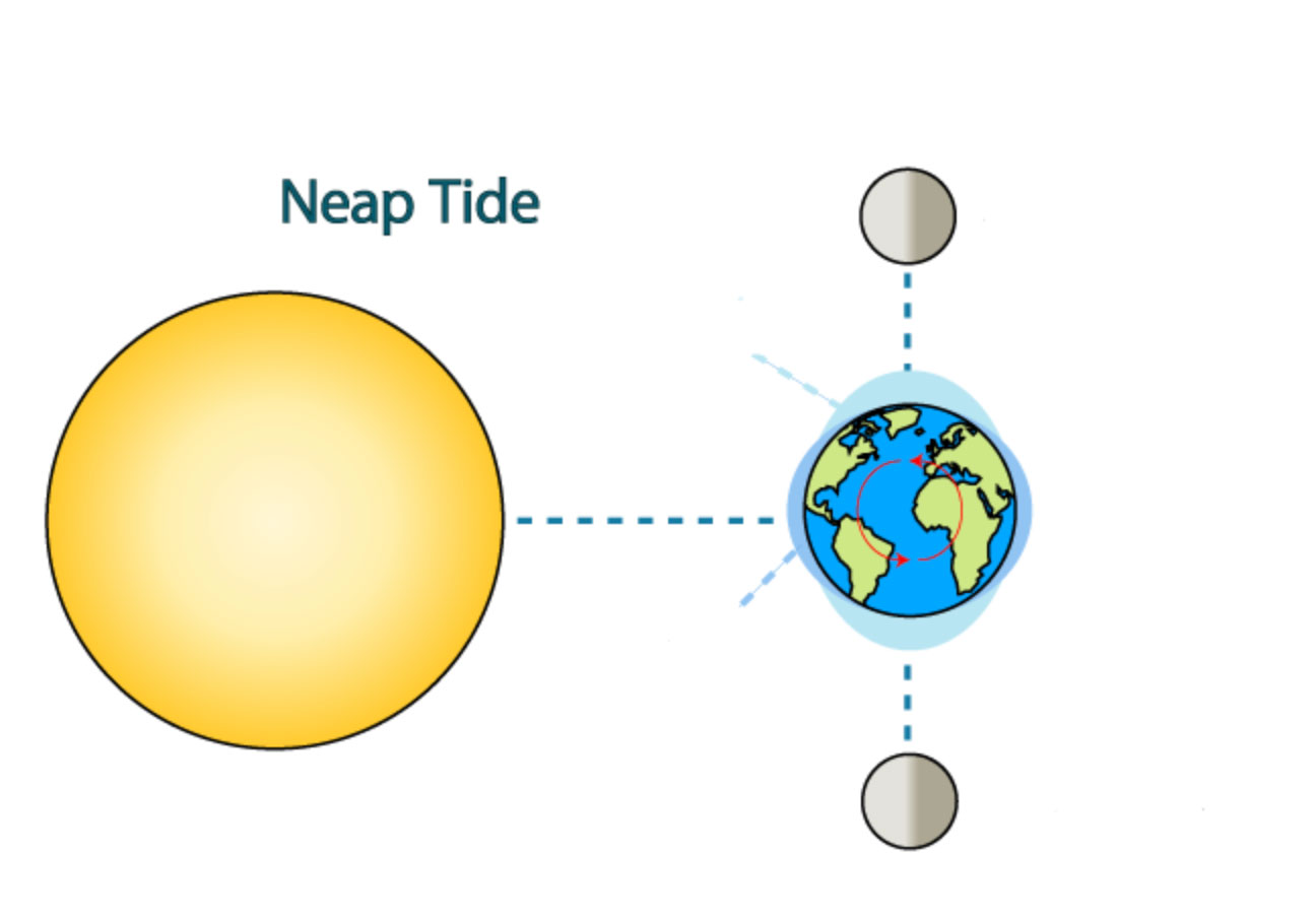 what is a neap tide and why it matters_aa295dfc 3f2e 4c86 98d3 40bb579aa296