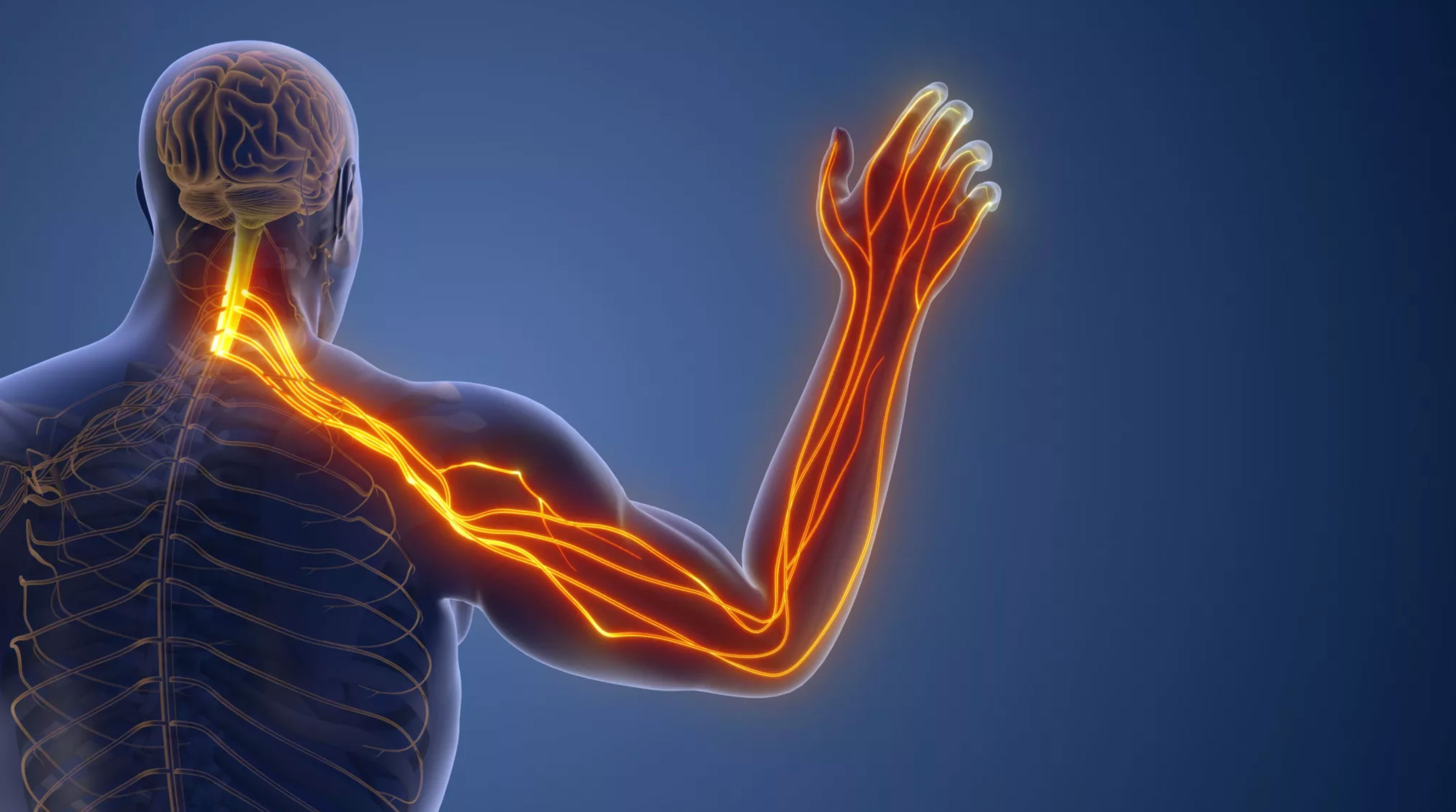how to deal with a pinched nerve_6eb224bf 14ba 4912 838d ed804f5b02cc