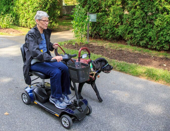 medicare scooters for mobility and independence_935b440a 6e9e 4e1a a9f0 2c2de9d426da