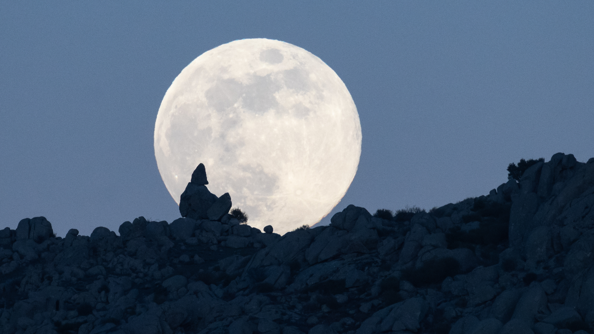 Wolf Moon 2026: What It Is, When to See It, and Why It's a Supermoon