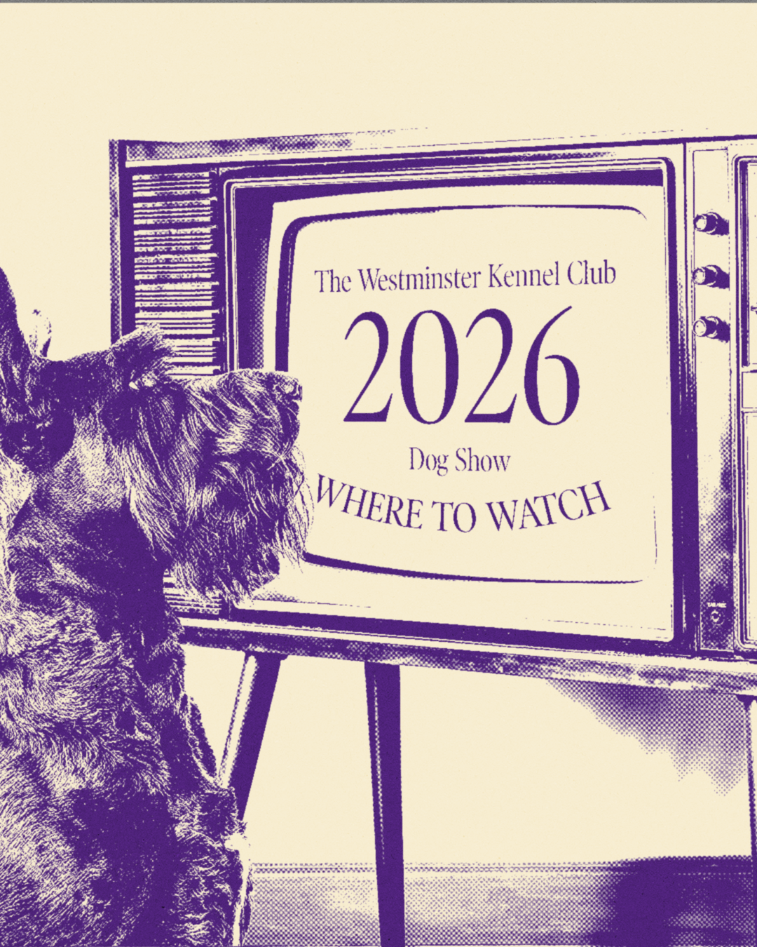 1769873423666_BKMNxWKC_Streaming Schedule_4x5_01