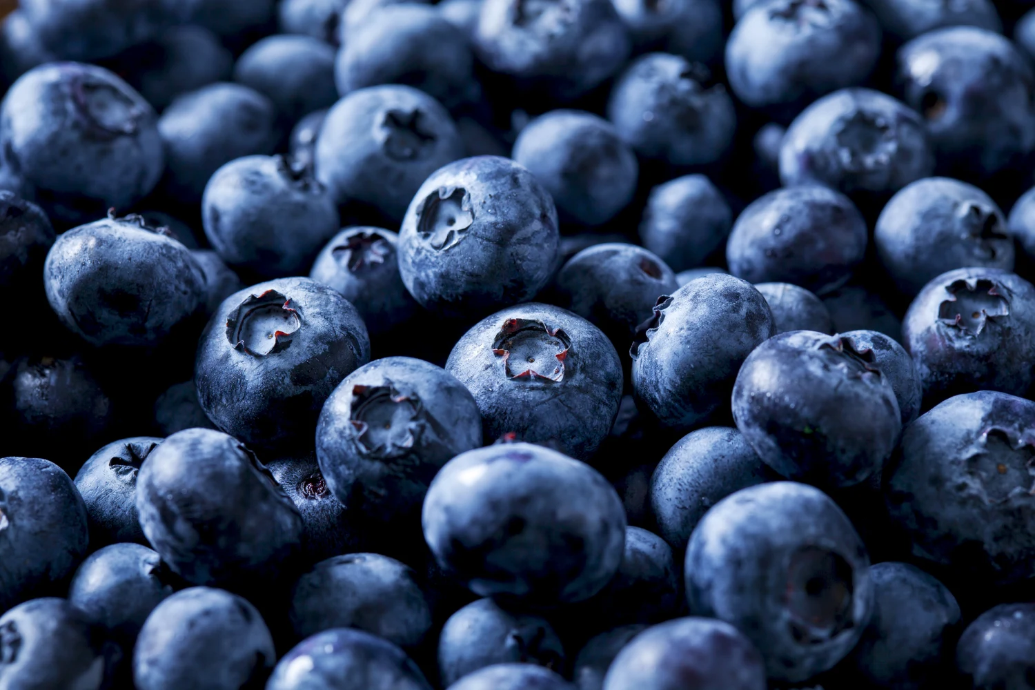 Blueberry Recall 2026: FDA Issues Class I Warning Over Listeria Contamination