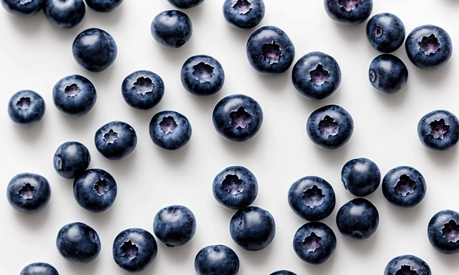 1772205769610_blueberry recall bc 0226 4d74af