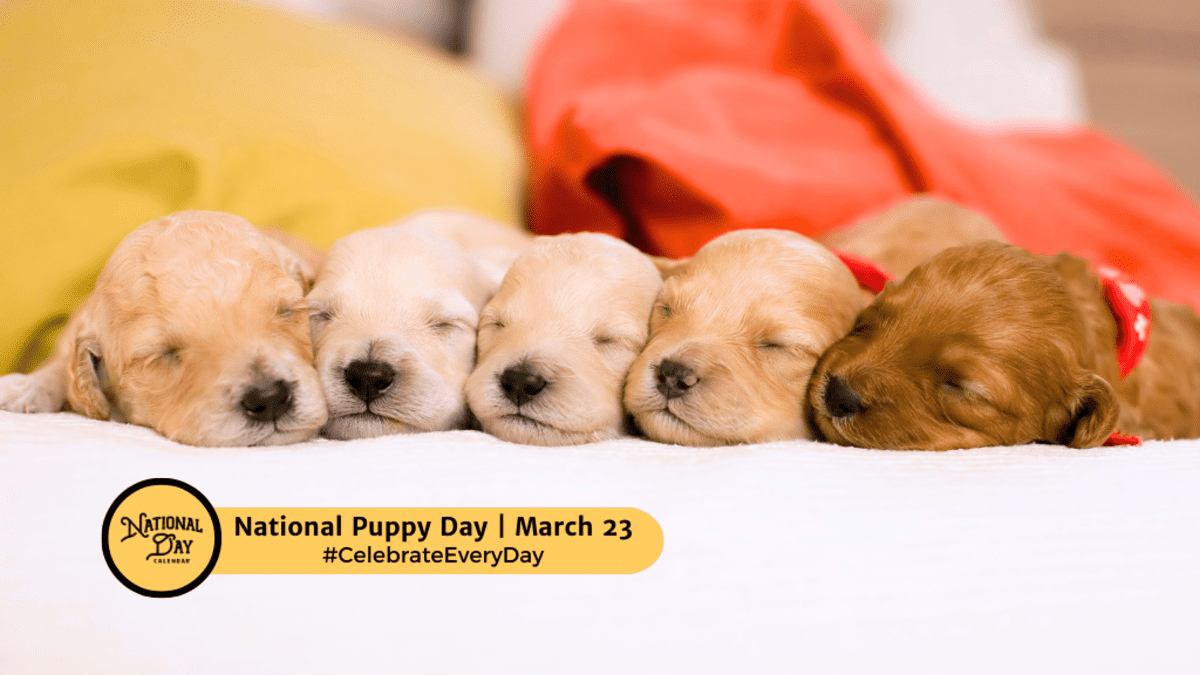 1774276087035_national puppy day march 23